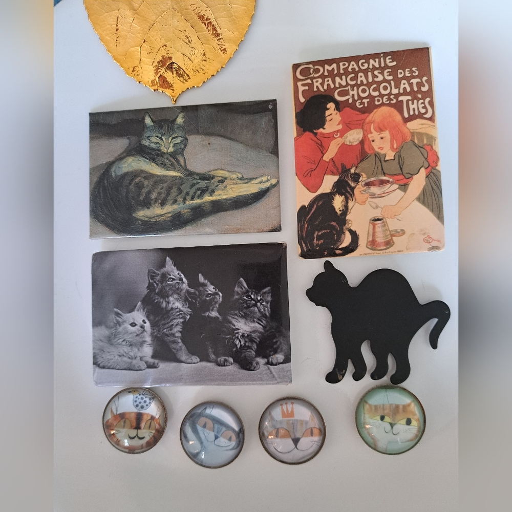 Lot of cat fridge magnets